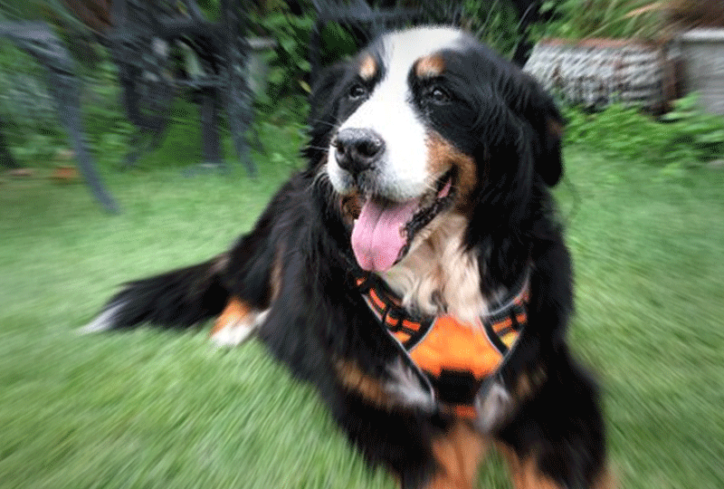 f:id:masami_takasu:20191214091124g:plain