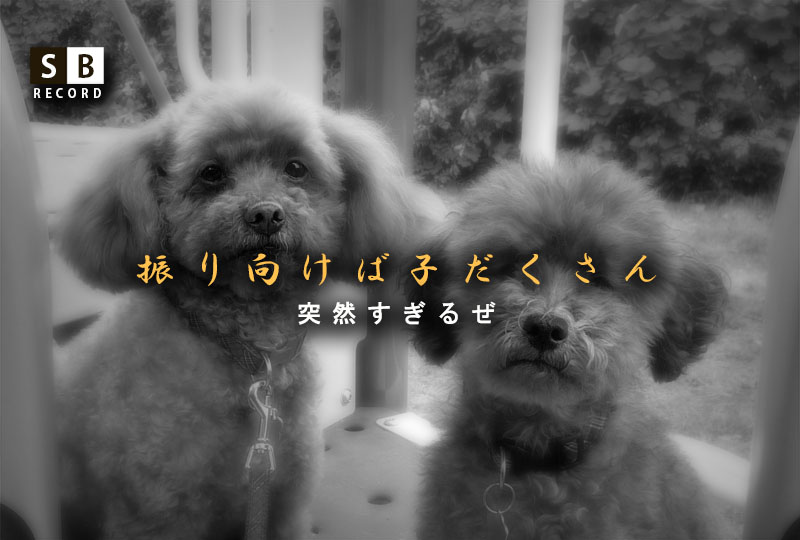 f:id:masami_takasu:20191214091502j:plain