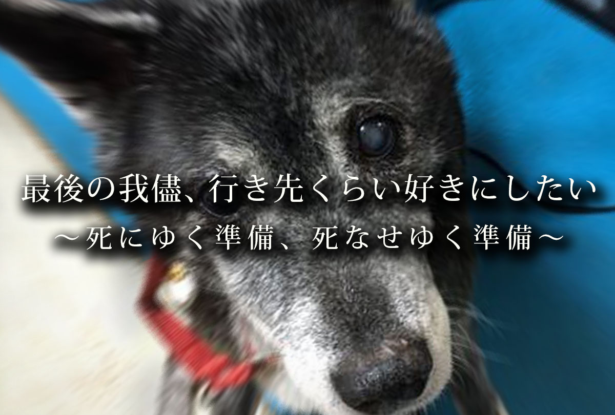 君が旅立つまでのこと_扉
