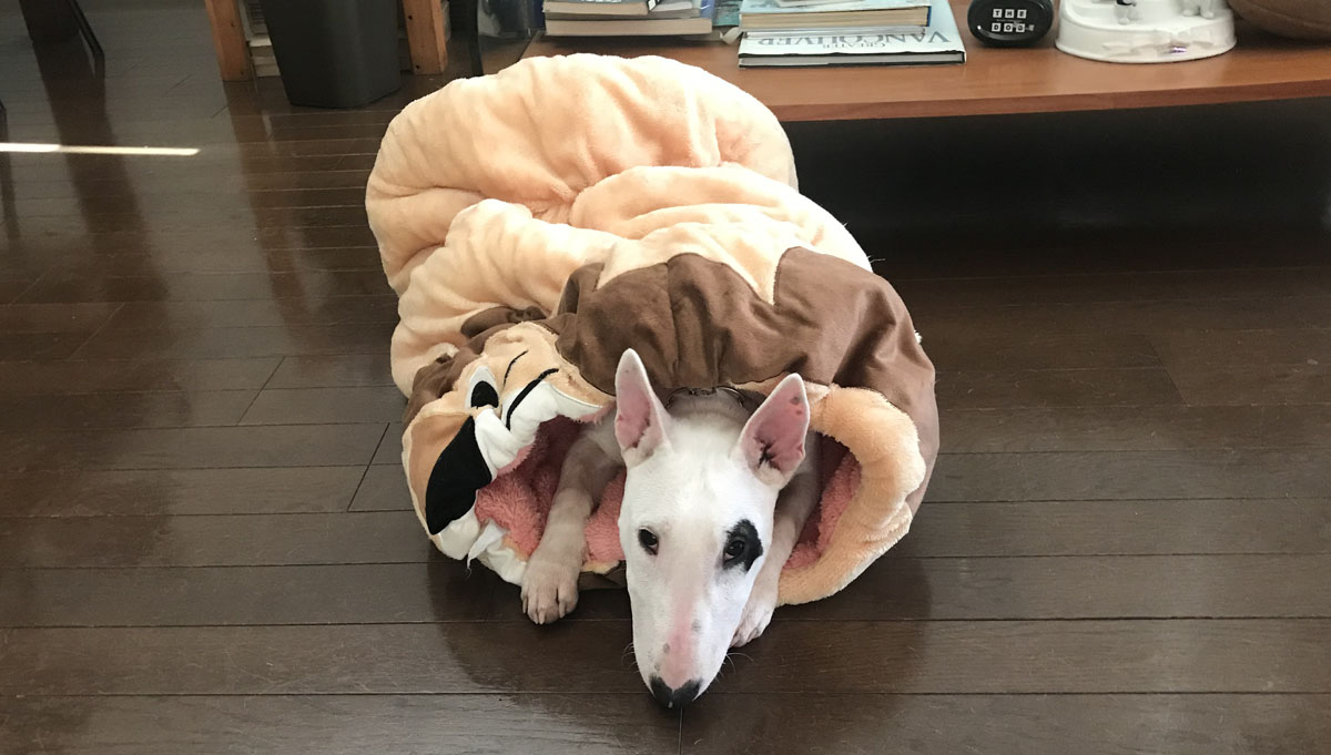 f:id:masami_takasu:20191222102122j:plain