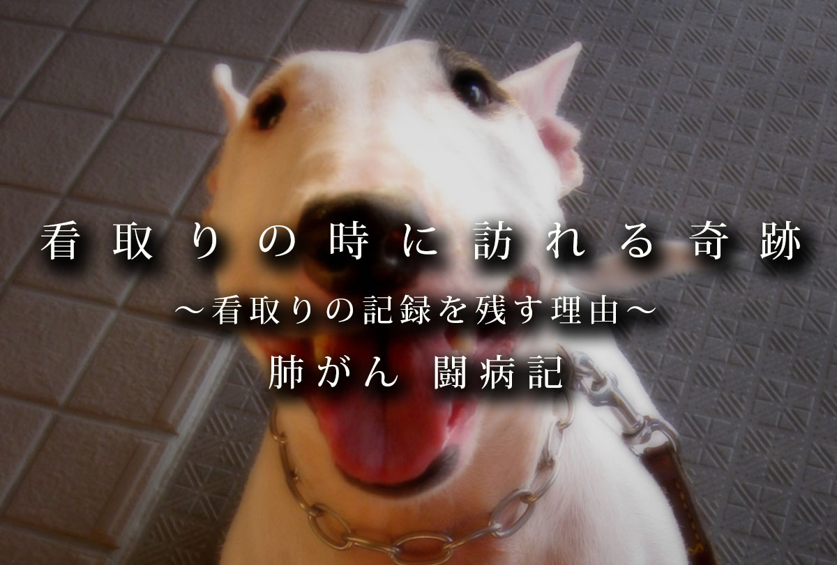 看取りの時に起きる奇跡