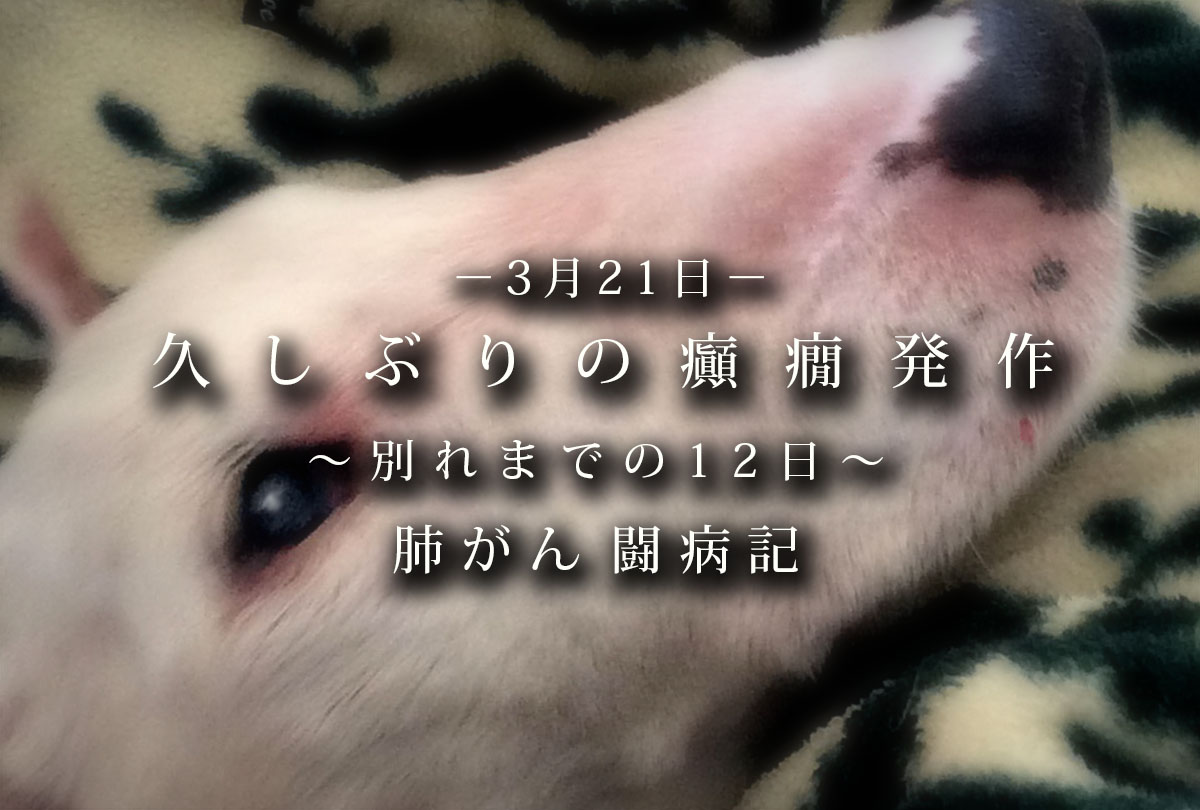 肺がん闘病記_久しぶりの癲癇発作