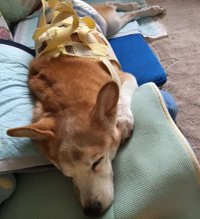 f:id:masami_takasu:20200226163148j:plain