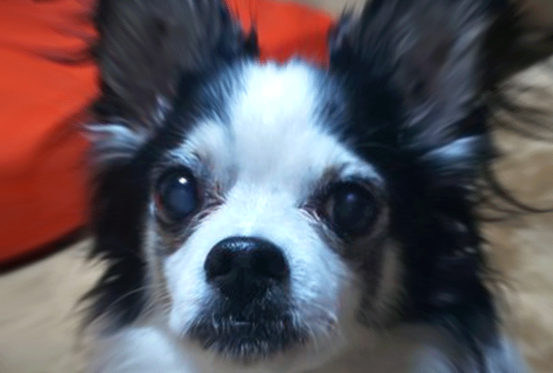 f:id:masami_takasu:20200516162409g:plain