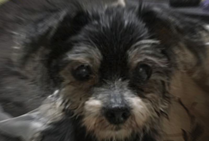 f:id:masami_takasu:20200530075755g:plain