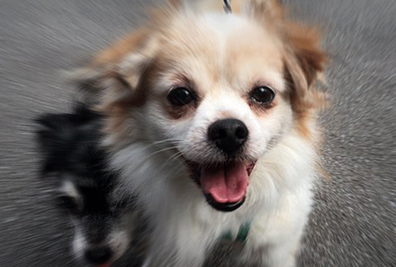 f:id:masami_takasu:20200604121921g:plain