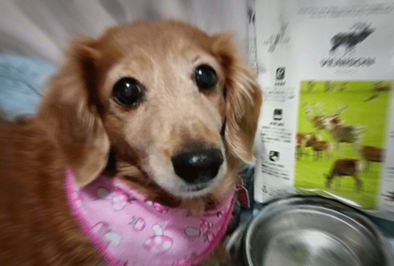 f:id:masami_takasu:20200610073139g:plain