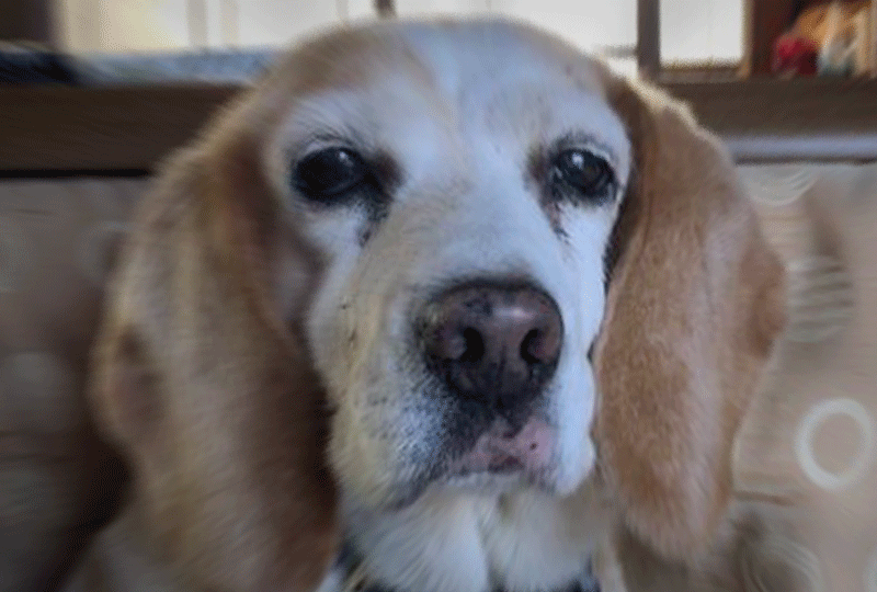 f:id:masami_takasu:20200610073444g:plain