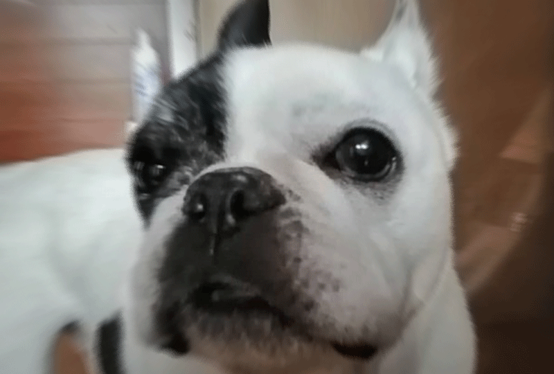 f:id:masami_takasu:20200621074501g:plain