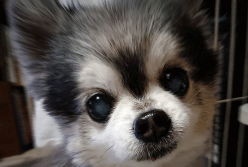 f:id:masami_takasu:20200705074345g:plain