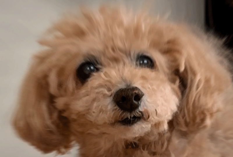 f:id:masami_takasu:20200705074910g:plain