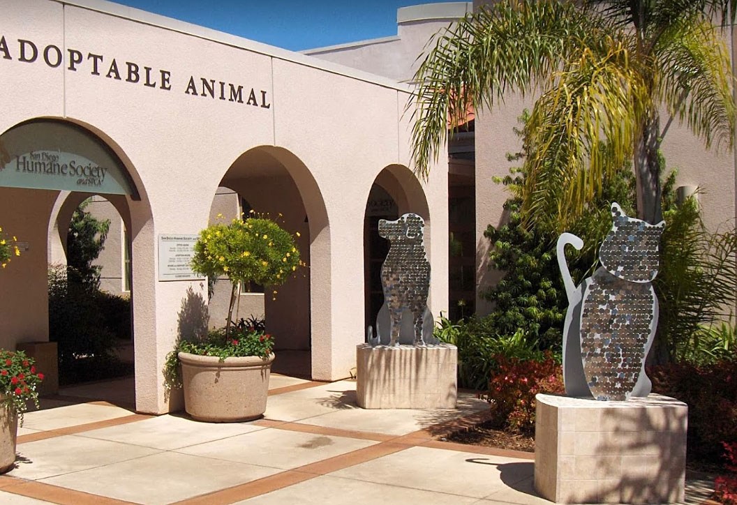 f:id:masami_takasu:20200706152858j:plain