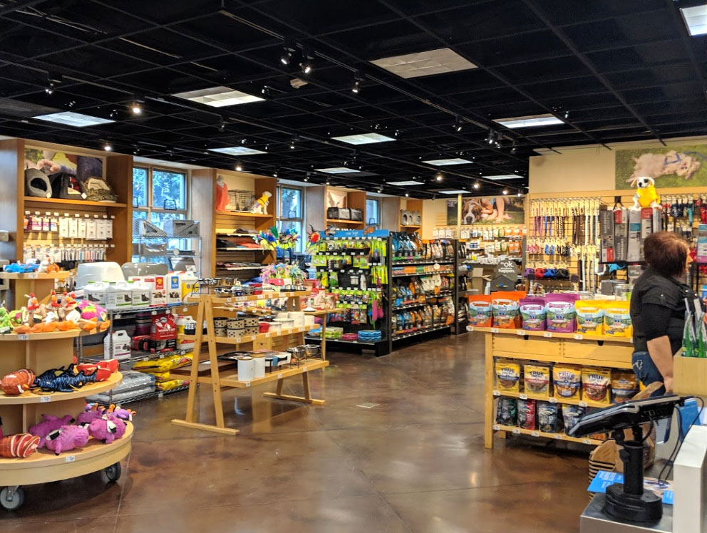 f:id:masami_takasu:20200706153211j:plain