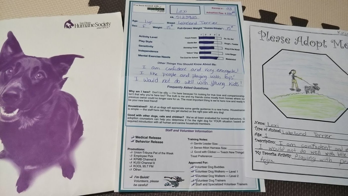 f:id:masami_takasu:20200706153304j:plain