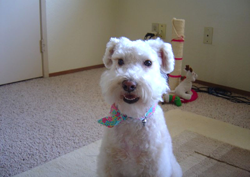 f:id:masami_takasu:20200706153333j:plain