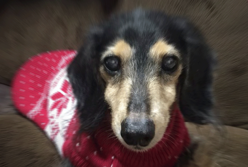 f:id:masami_takasu:20200710221203g:plain