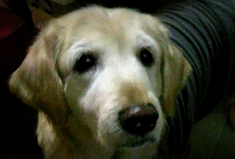 f:id:masami_takasu:20200714171841g:plain