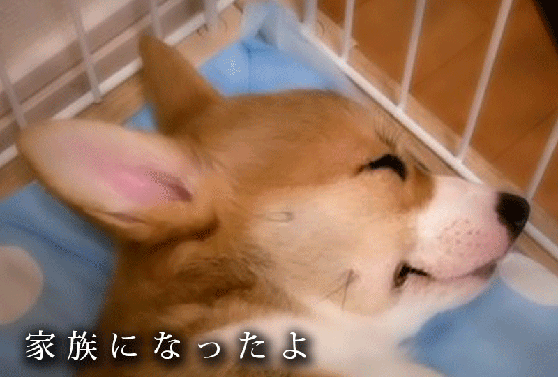 f:id:masami_takasu:20200805101631g:plain