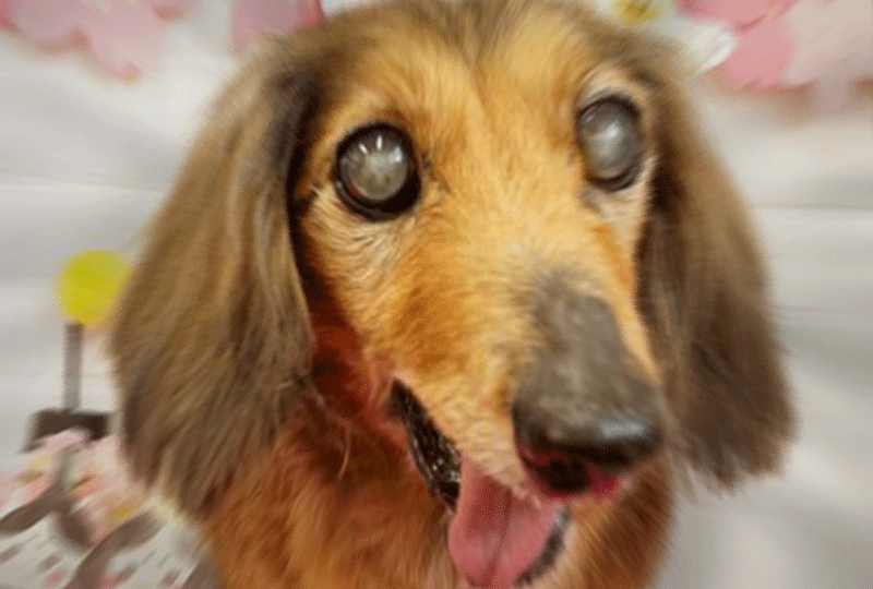 f:id:masami_takasu:20200818174949g:plain