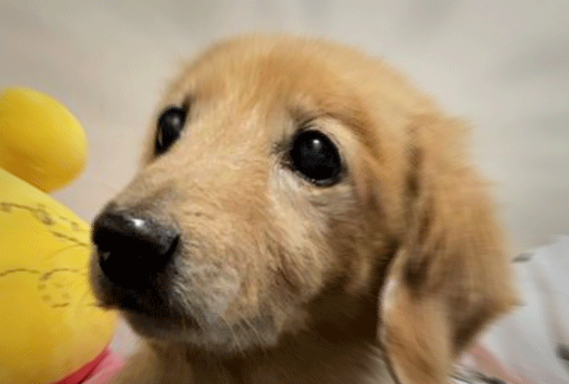 f:id:masami_takasu:20200908084928g:plain