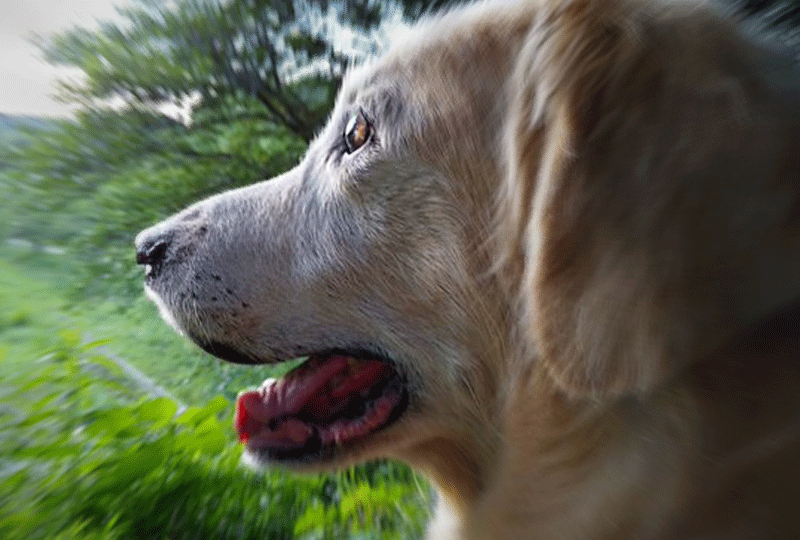 f:id:masami_takasu:20200927005414g:plain