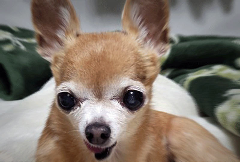 f:id:masami_takasu:20200927005744g:plain