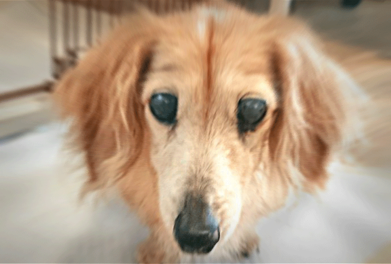 f:id:masami_takasu:20200928171921g:plain