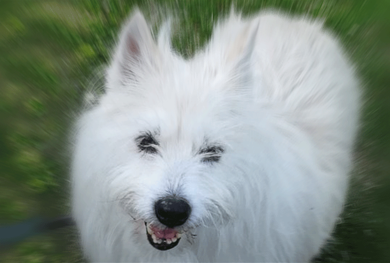 f:id:masami_takasu:20200928172722g:plain