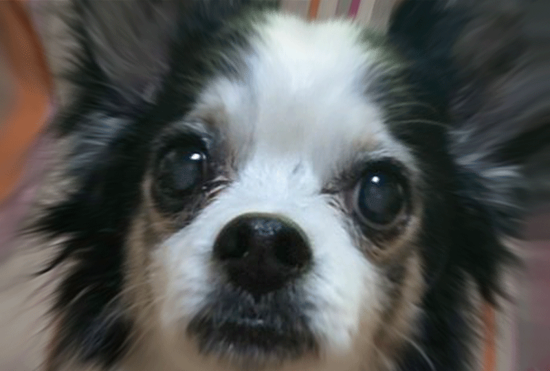 f:id:masami_takasu:20200929093129g:plain