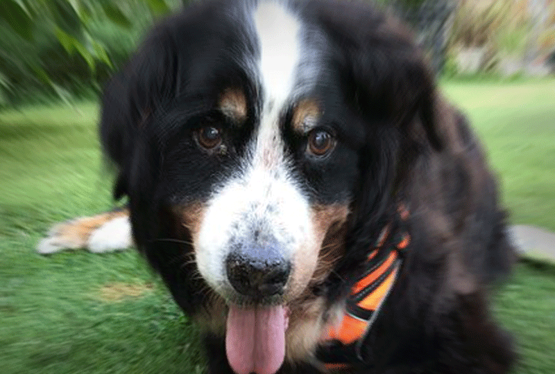 f:id:masami_takasu:20201001064925g:plain