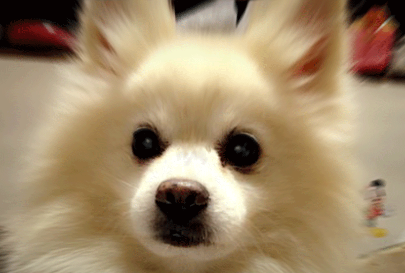 f:id:masami_takasu:20201012200600g:plain