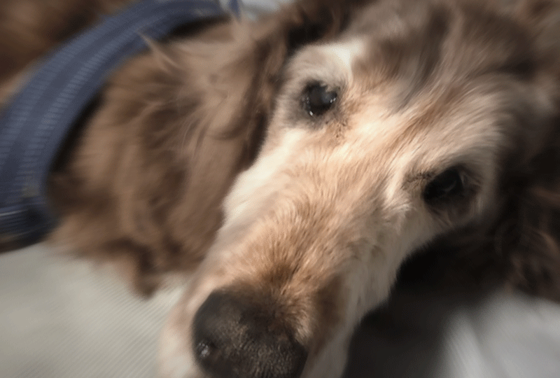 f:id:masami_takasu:20201019210808g:plain