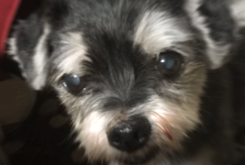 f:id:masami_takasu:20201020095041g:plain