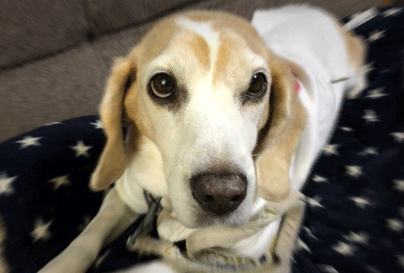 f:id:masami_takasu:20201025101232g:plain