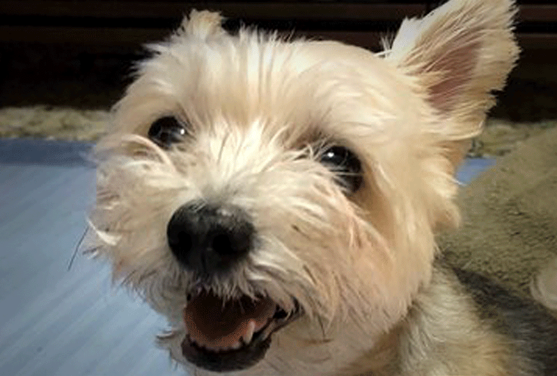 f:id:masami_takasu:20201025101544g:plain