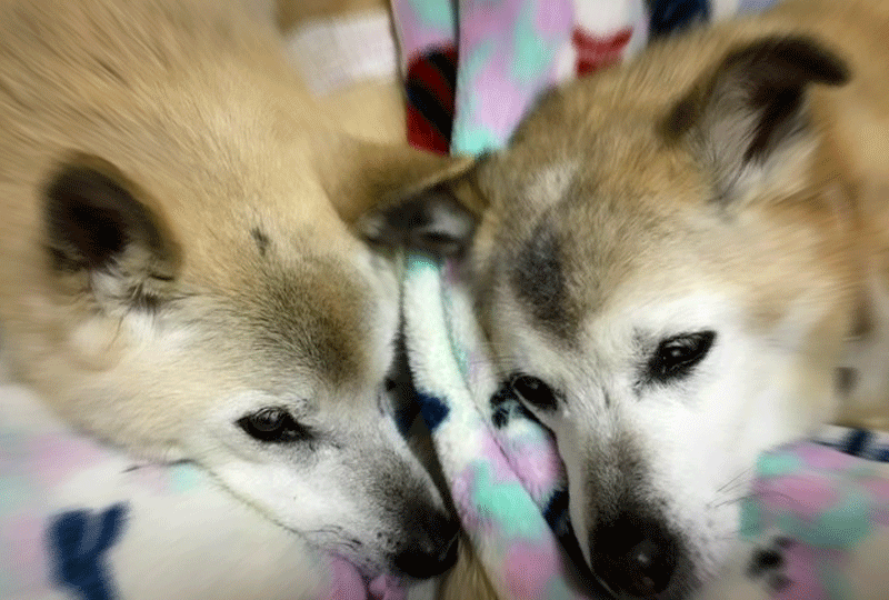 f:id:masami_takasu:20201025102806g:plain