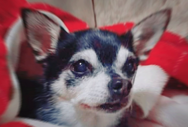 f:id:masami_takasu:20201102093254g:plain