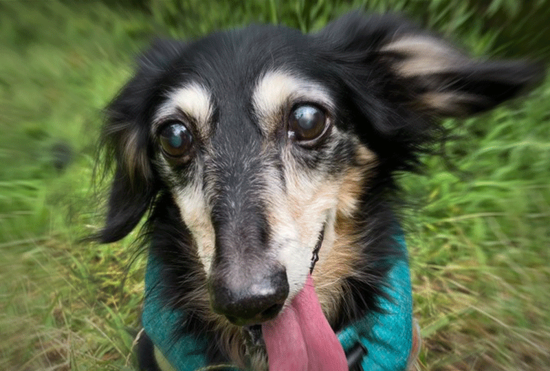 f:id:masami_takasu:20201108064519g:plain