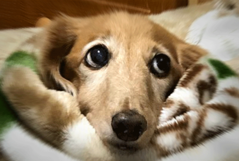 f:id:masami_takasu:20201108141406g:plain