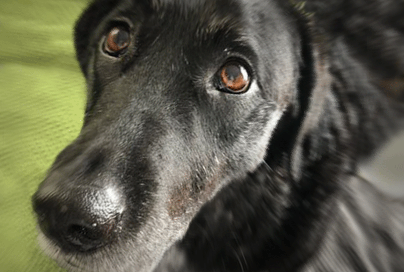 f:id:masami_takasu:20201108141539g:plain