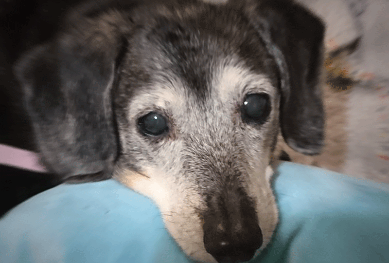 f:id:masami_takasu:20201119073922g:plain