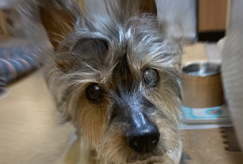 f:id:masami_takasu:20201122142027g:plain