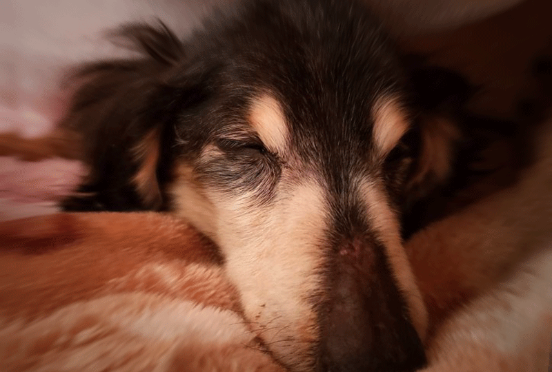 f:id:masami_takasu:20201129070332g:plain