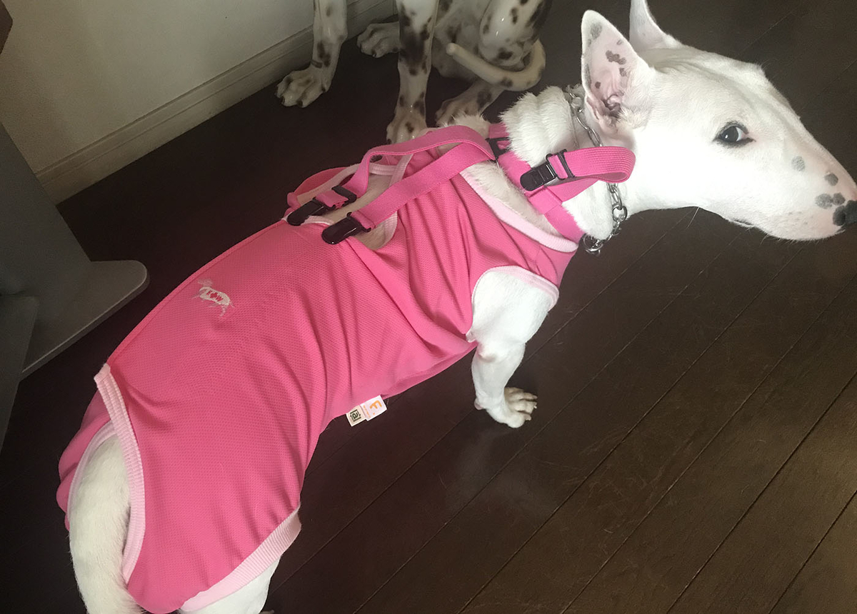 術後服_サスペンダー