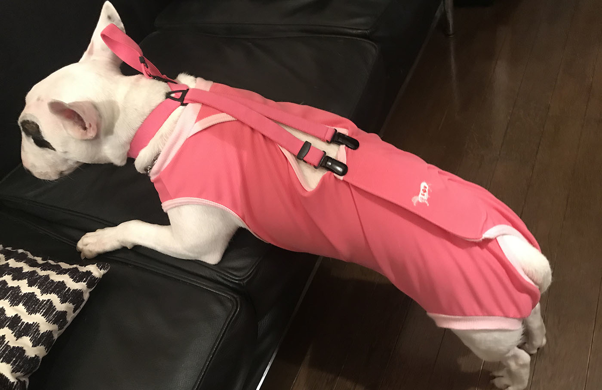 術後服_サスペンダー