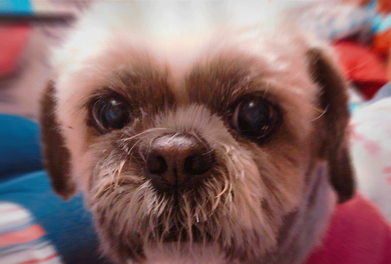 f:id:masami_takasu:20201209181345g:plain