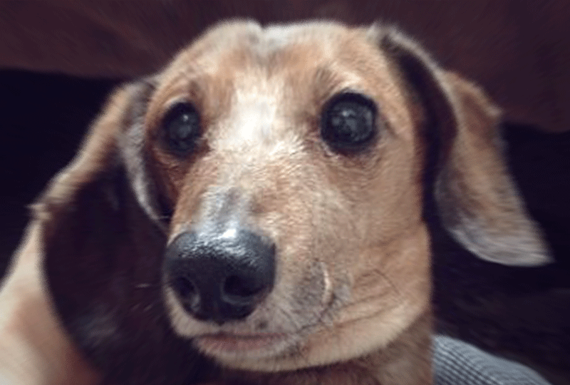 f:id:masami_takasu:20201212065811g:plain