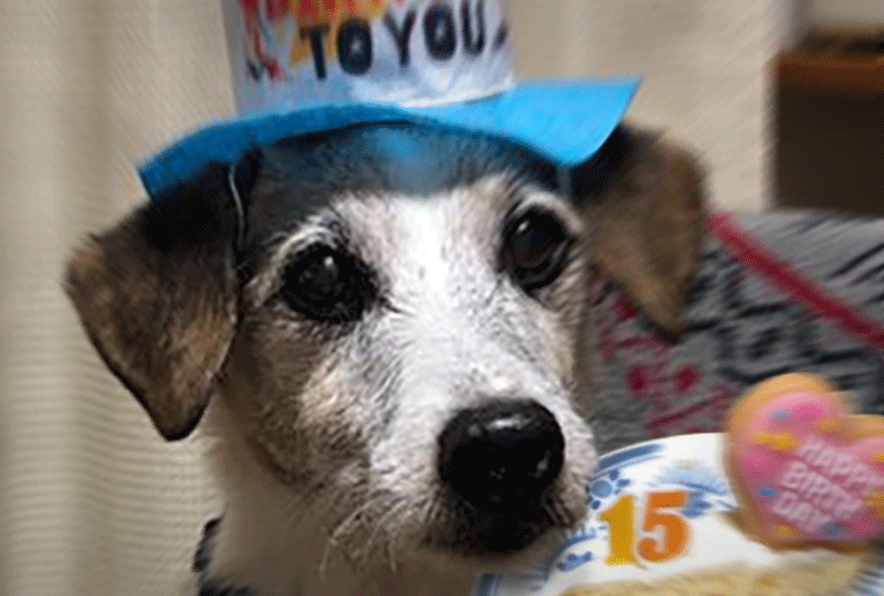 f:id:masami_takasu:20201221163201g:plain