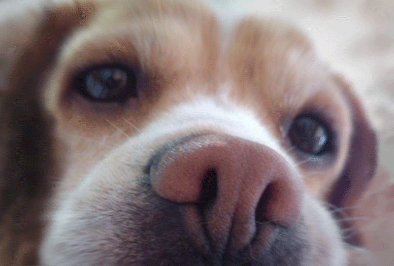 f:id:masami_takasu:20201224082629g:plain