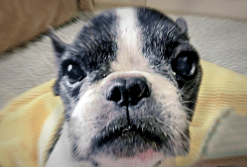 f:id:masami_takasu:20210104065632g:plain